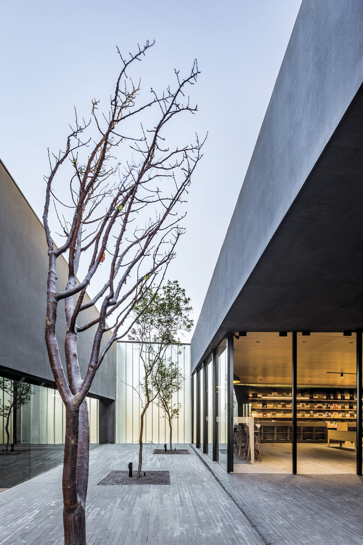 The terrace area, on the upper floor, the third level, gives access to the library and coffee shop and is set under an open sky.