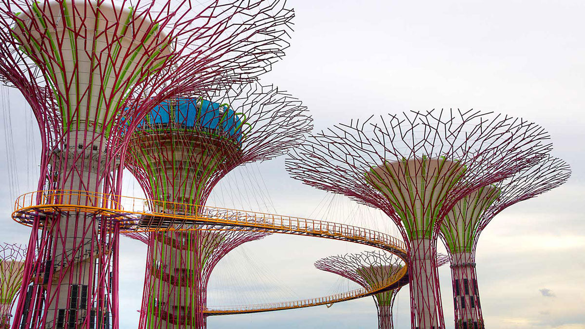 Árboles artificiales de 50 metros que generan electricidad dentro de los Jardines de la Bahía en Singapur