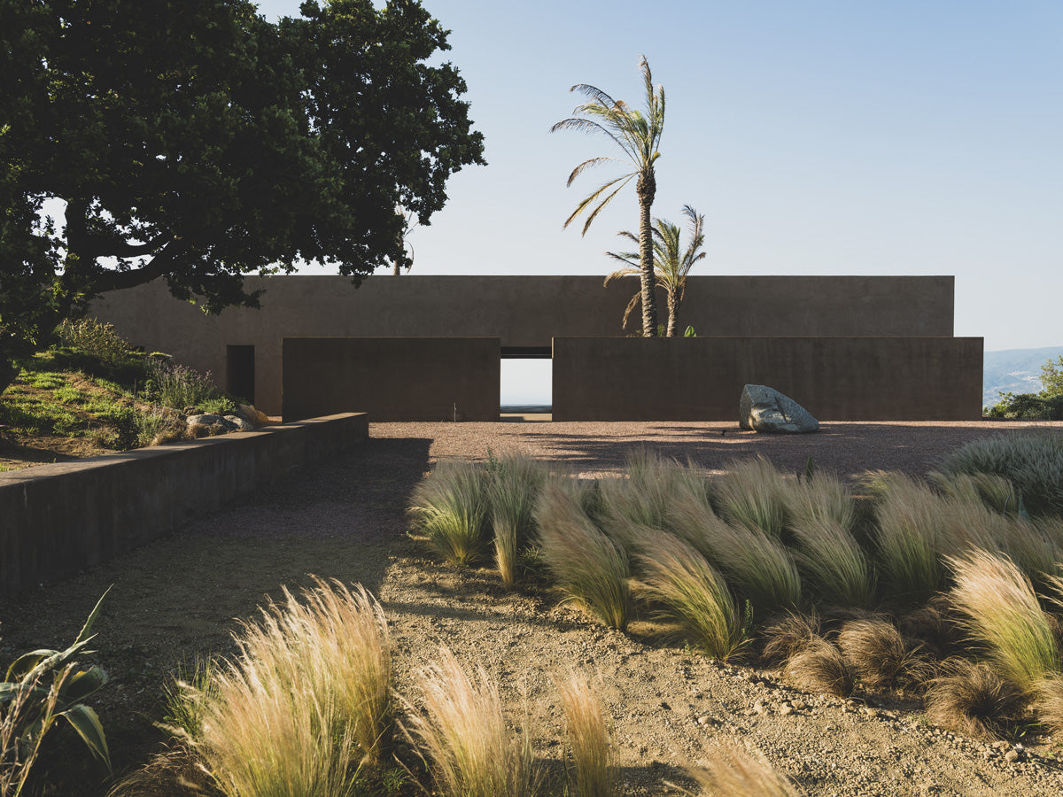 The palm trees are part of the place’s flora and were used to limit the property, also serving as markers, since the house can be seen from the distance.
