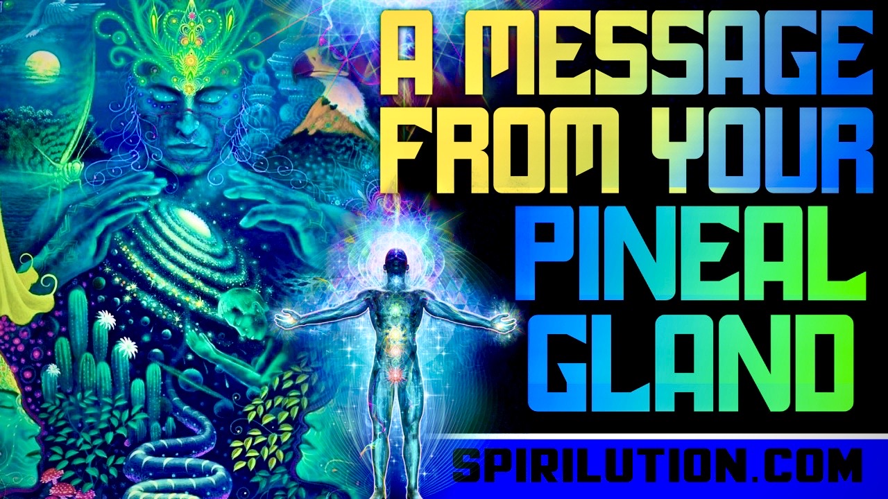 PINEAL GLAND