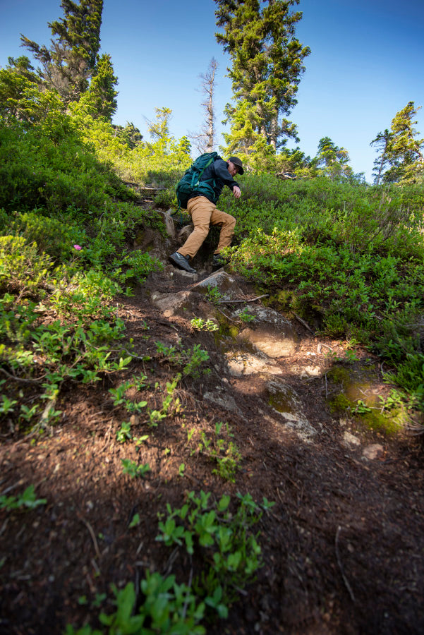 mount forgotten hike