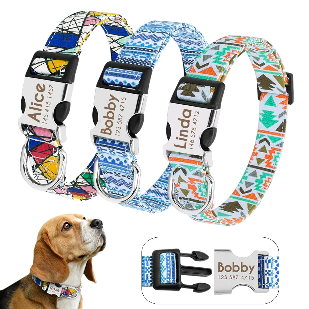 funky dog collars