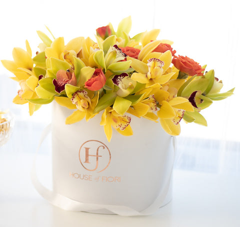 Cymbidium, Red Deer Florist, Vancouver Florist, House of FIori