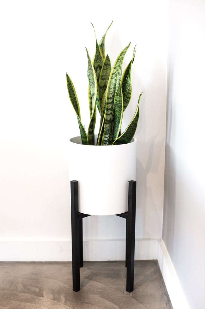 affordable mid century modern plant stand