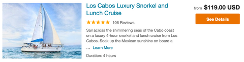 snorkel and lunch cruise cabo