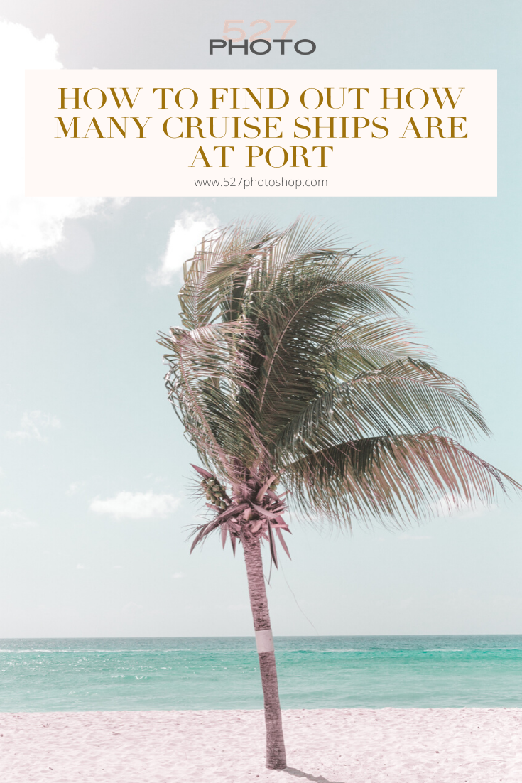 How to find out how many cruise ships are at port
