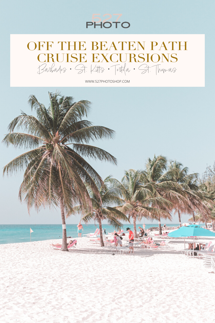 Barbados cruise excursion ideas
