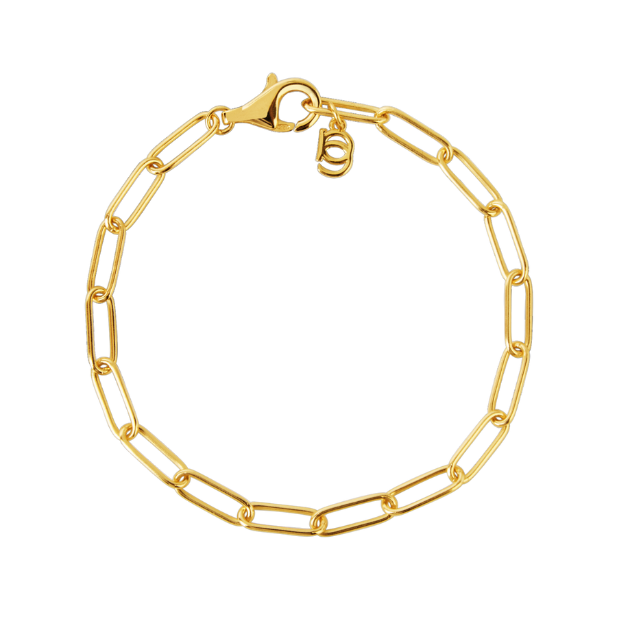 MORRISON CHAIN GOLD BRACELET_Chain Bracelet_1_ALEYOLE JEWELRY