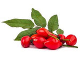 Rosehip Oil