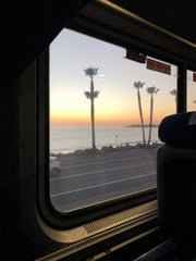 View of Pacific Ocean and palm trees from Pacific Surfliner train