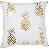 Shein Cushion pineapple