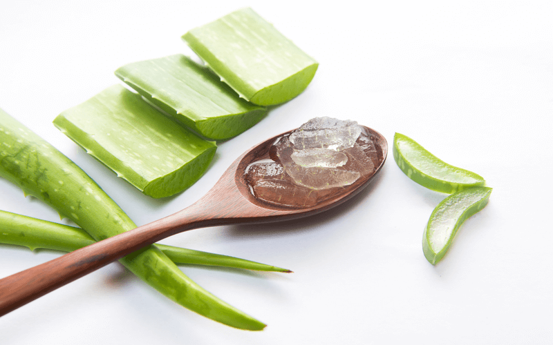 Gesundheitsvorteile der Aloe Vera