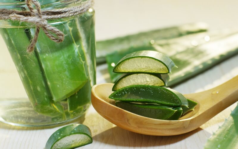 Aloe Vera bei Insektenstichen