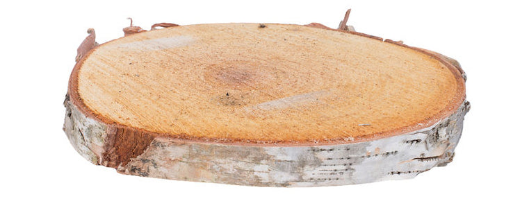 Birch Wood Slab/Slice 7″ to 8″ Round – Natural