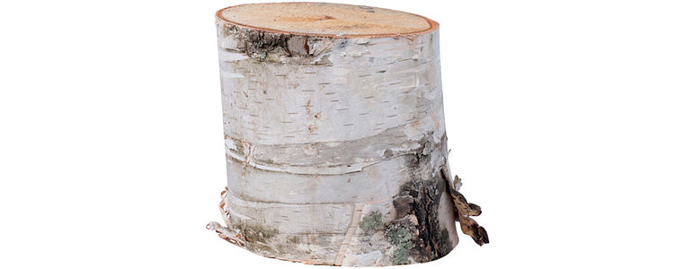 Birch Wood Stand – 4″High x 6″-8″ Diameter