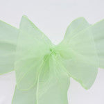 Mint Green Organza Fabric Material