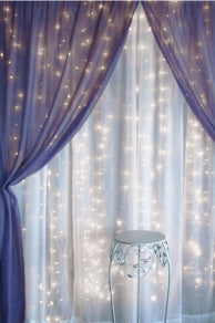 Preserving Your Event: Photo Booth Fun sheer voile backdrop