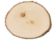 Round Basswood Tree Slice/Slab – XLarge