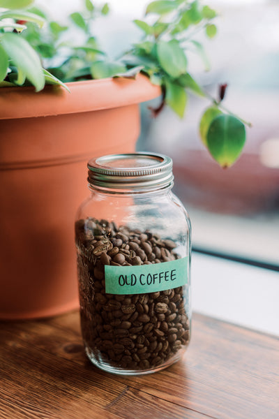 Jar of old coffee sitting beside a plant