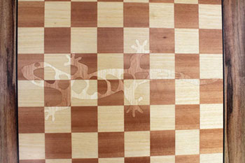 Gecko Chessboard