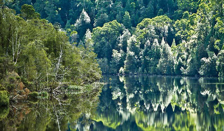 Gordon River Tasmania