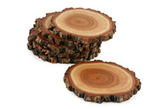 Red Ironbark Drink Coasters