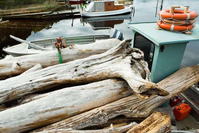 Salvaged Huon Pine Logs