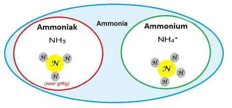 Ammonia Free Hair Color Side Effects And Benefits