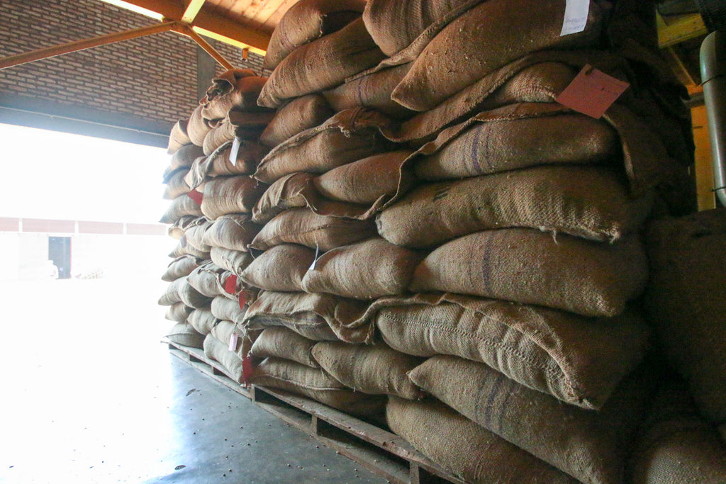 microlot coffee sacks burundi coffee
