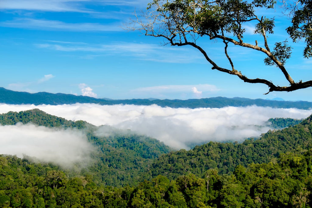 treks a faire thailande