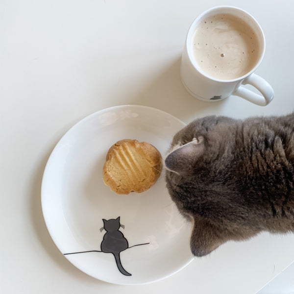 Cat with biscuits