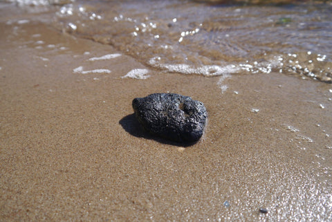 Ambergris washed up on shore