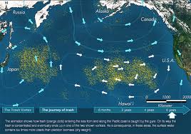 The Great Pacific Garbage Patch Gyres