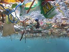 Plasic Garbage in the Great Pacific Garbage Patch