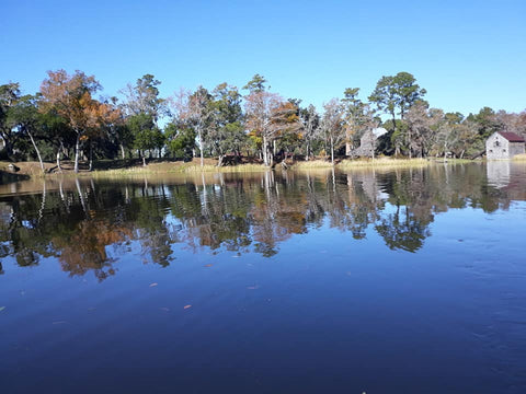 banks of pee dee river