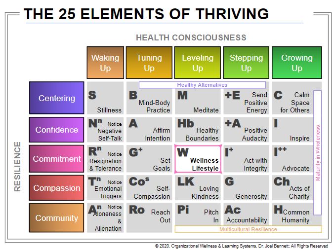 25 Elements of Thriving Periodic Table