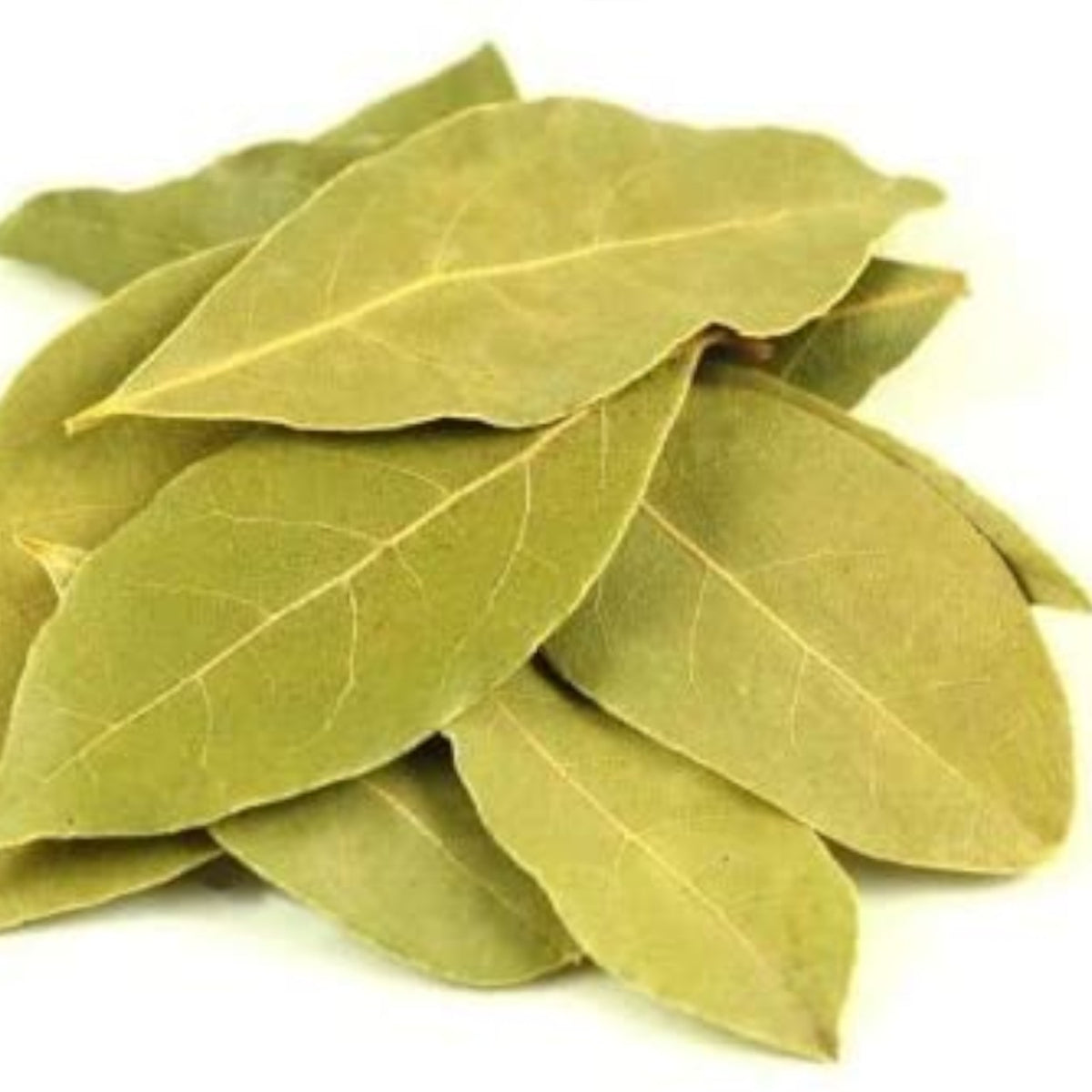 Bay Leaf - Tej Patta - 100g - Organic and Naturally available – Nirvapate  Agro Pvt Ltd