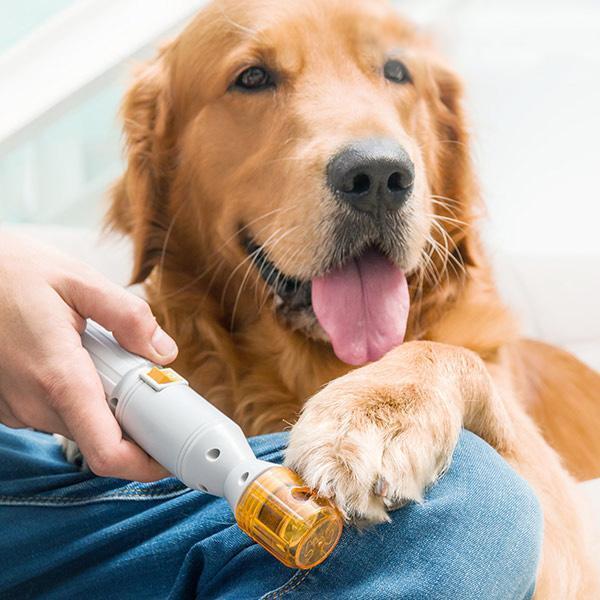 automatic dog nail file