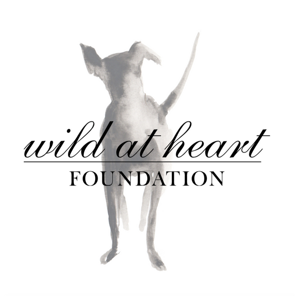 Wild at Heart Foundation Bird + Wolf Green Camo Jacket Camouflage Bespoke Customised Slogan