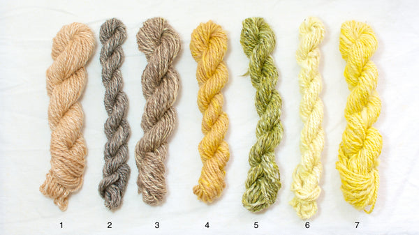 Plant-dyed hand-spun yarn