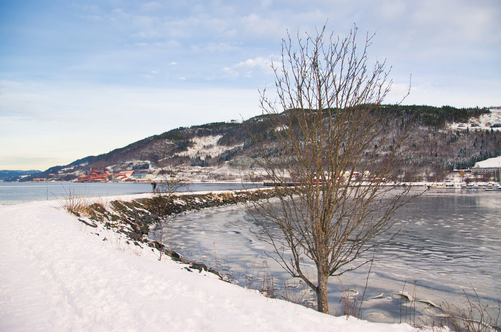 Icy harbour