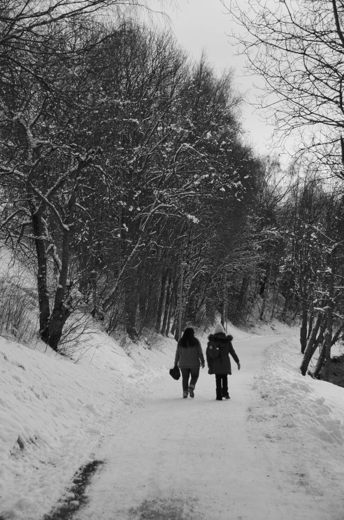 Walking through a snowy wood