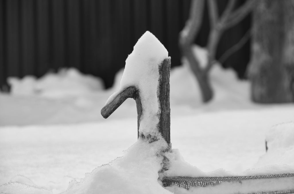 Snowy post