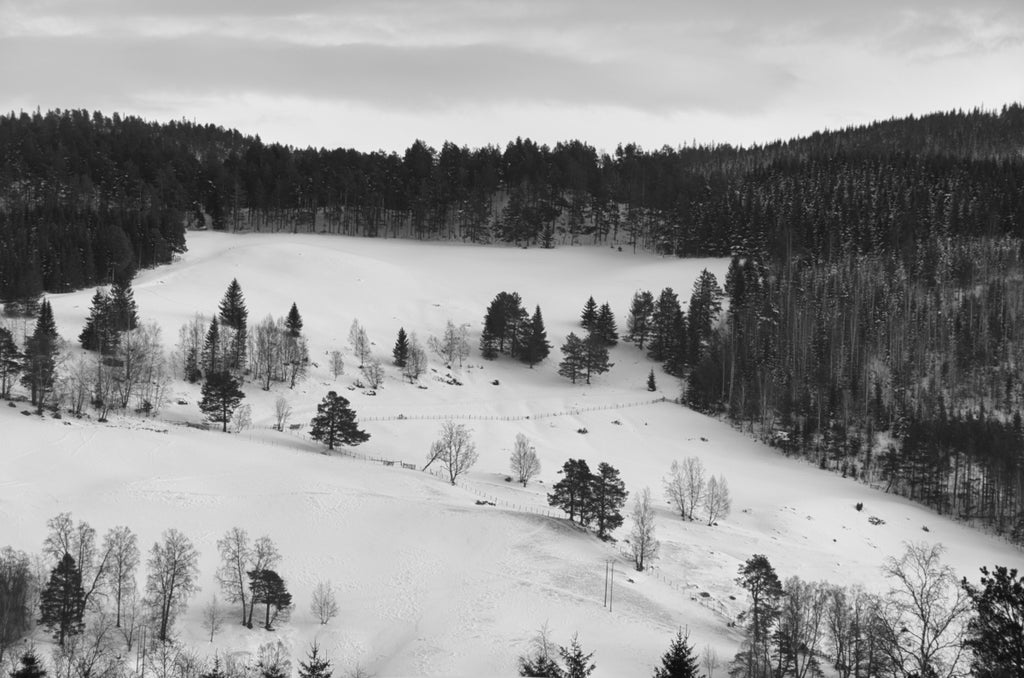 Snowy hillside