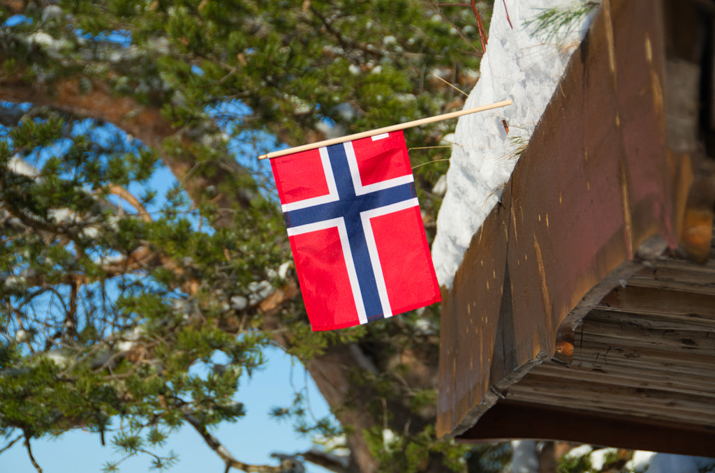 Norwegian flag in a snowy cabin roof
