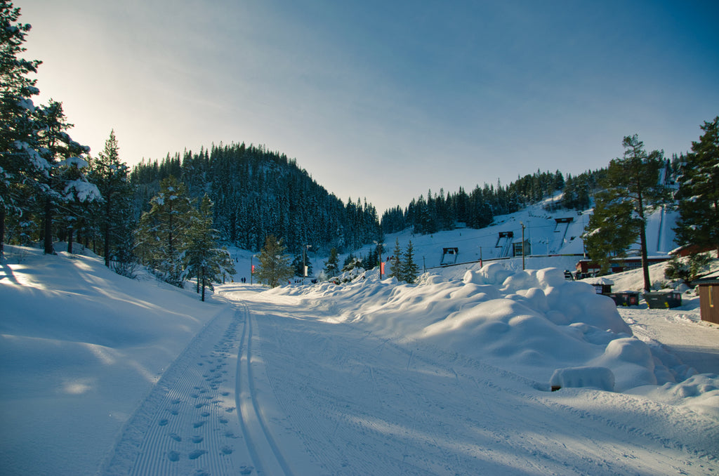 Sun over tree-covered hills and snow