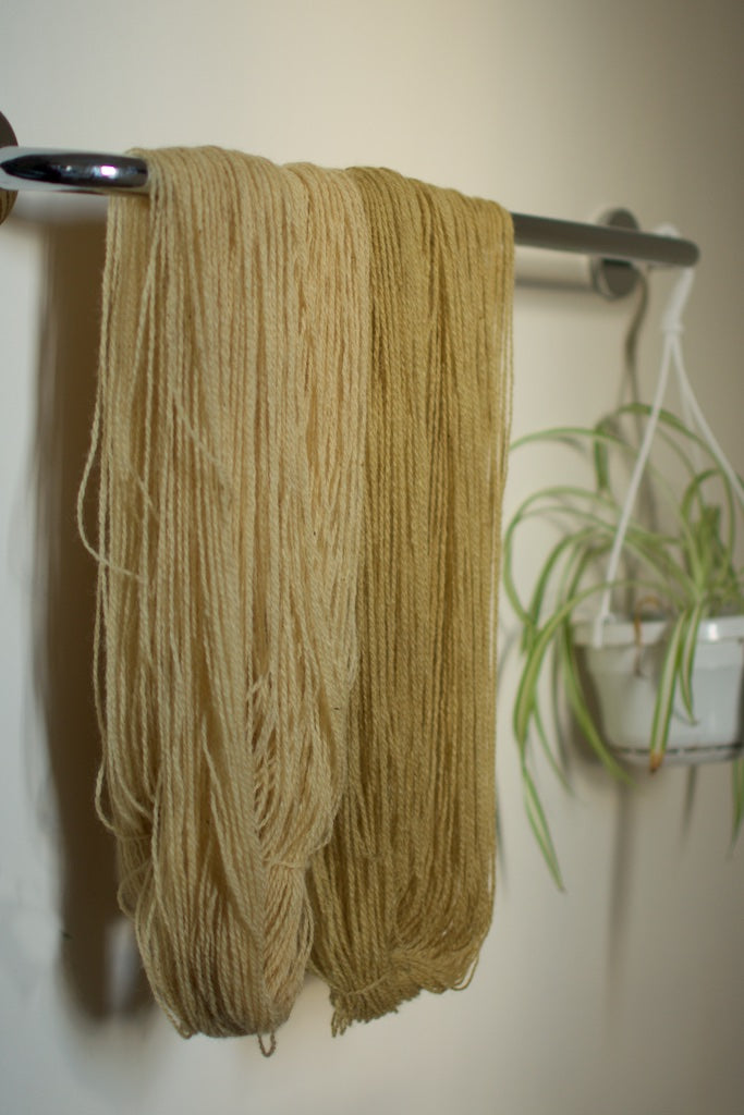 Ivy dyed yarn