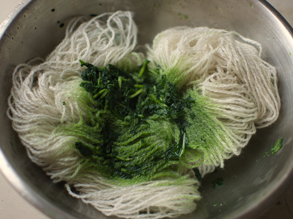 Wool yarn with fresh woad pigment