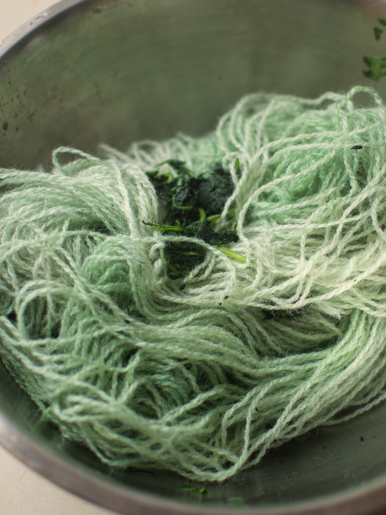 Green pigment from woad on yarn