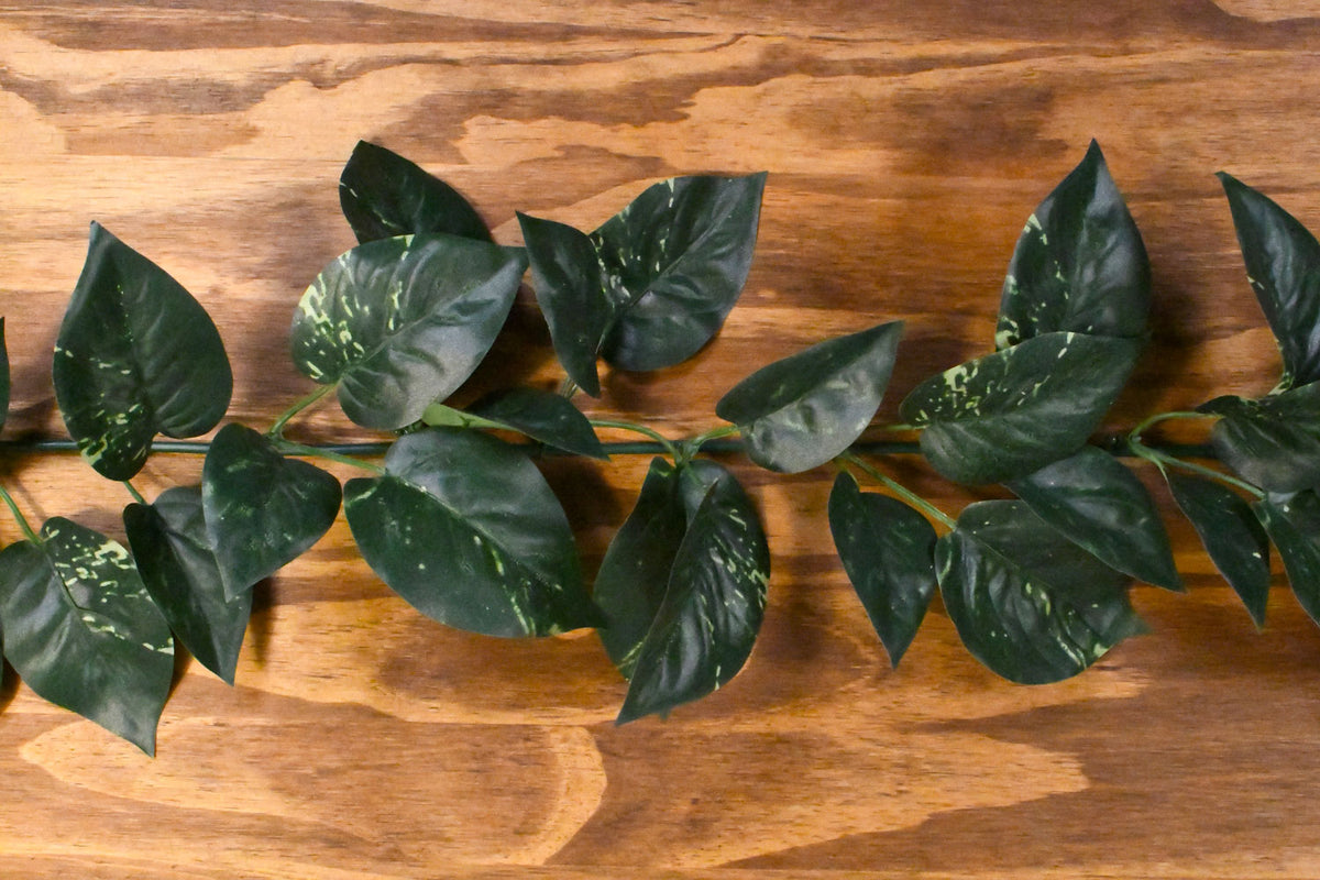 USB-C Cable with Realistic Small Variegated Ivy Leaves Never Hide Your Cords Again! electroVine 6 feet
